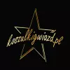 Logo koszulkigwiazd.pl